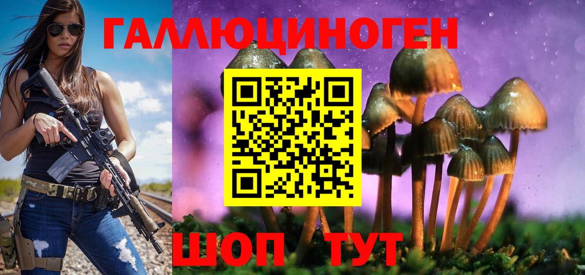 Псилоцибиновые грибы Psilocybe Артём